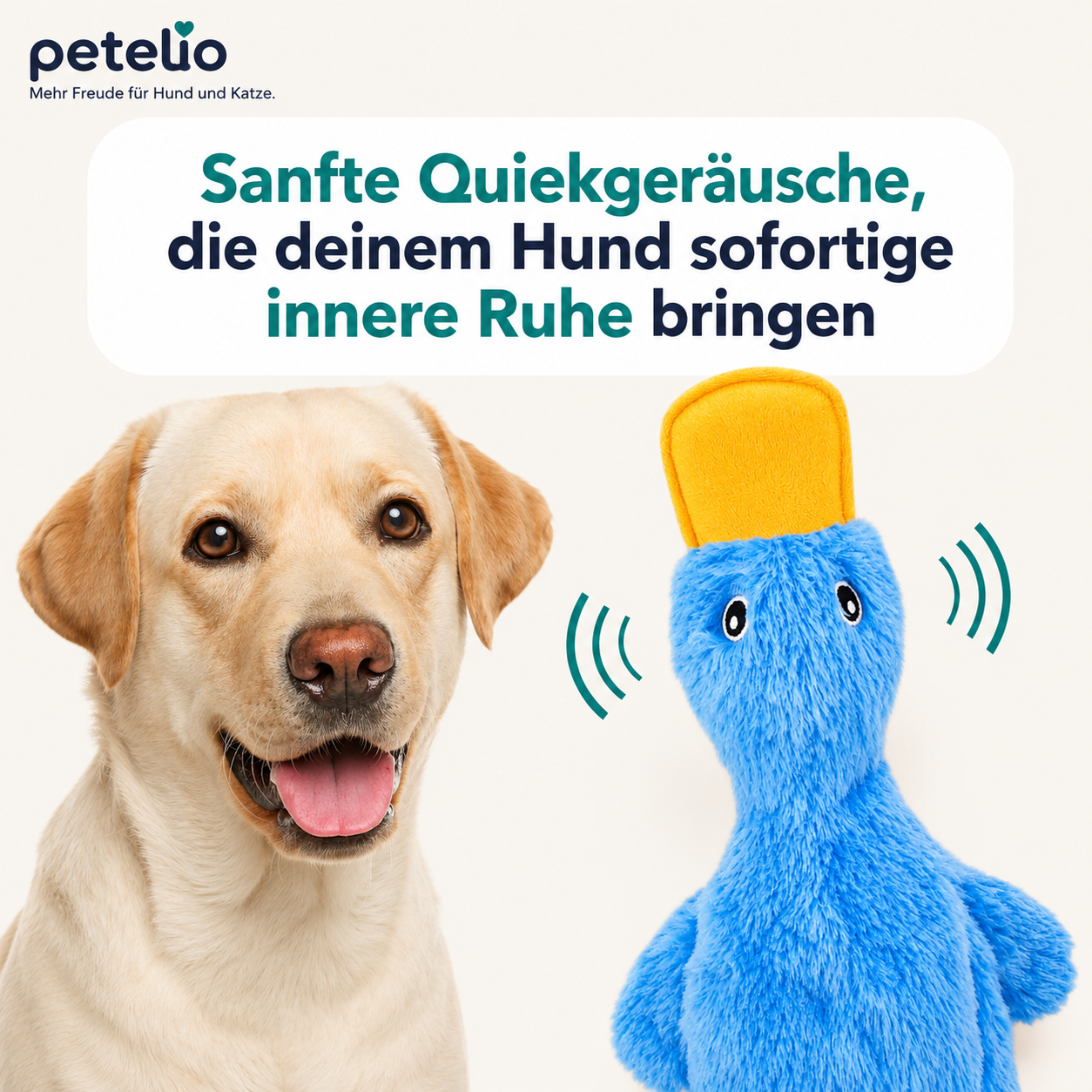 CalmDuck™ | Innere Ruhe für deinen Hund