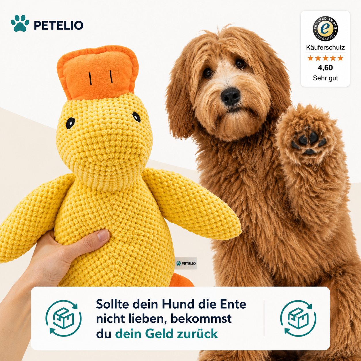CalmDuck™ | Innere Ruhe für deinen Hund