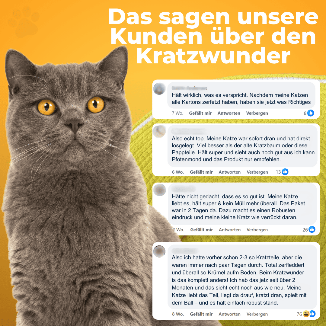 Kratzwunder