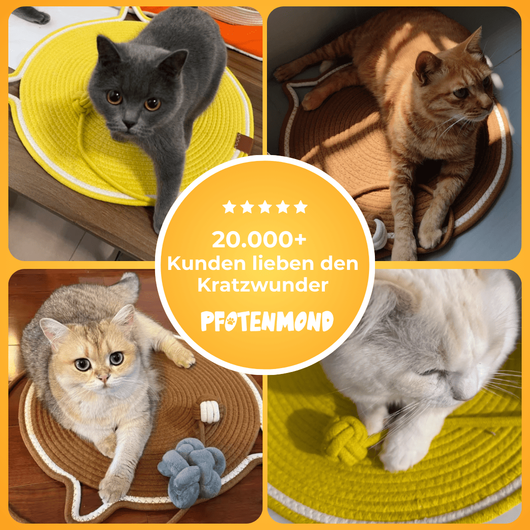 Kratzwunder