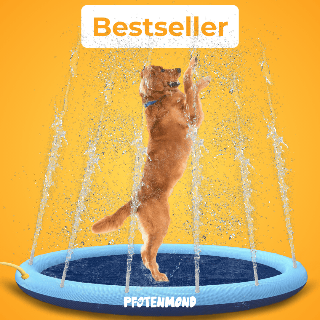 PfotenSplash - Der Bestseller