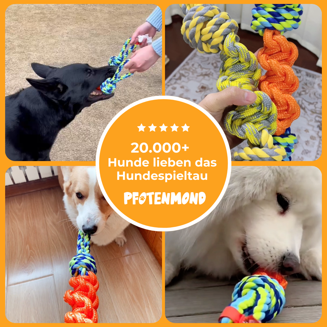 Hundespieltau