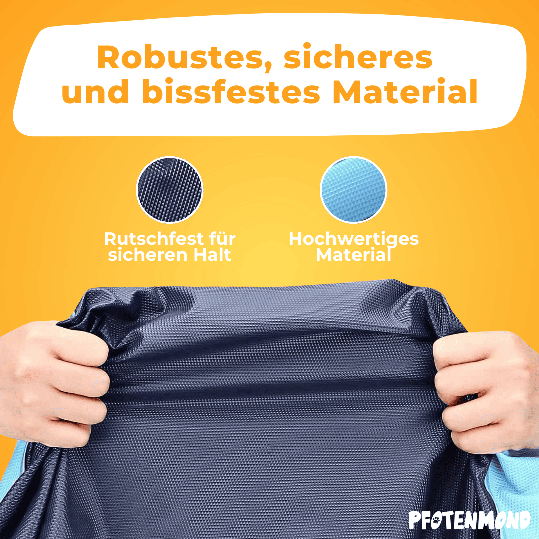 PfotenSplash - Der Bestseller