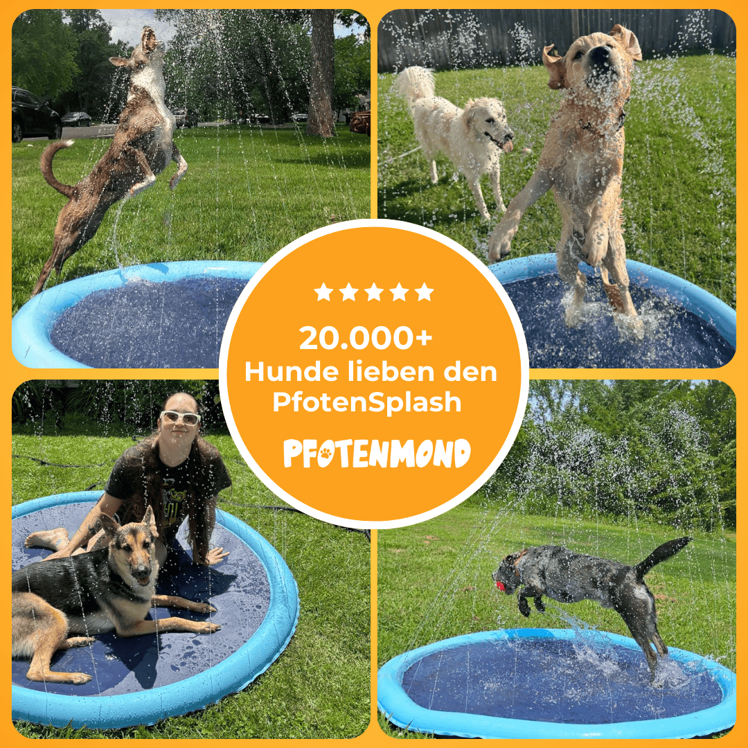 PfotenSplash - Der Bestseller