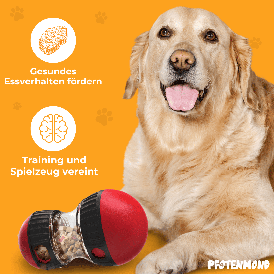 SnackFreund – Der spielerische Snackspender für Hunde