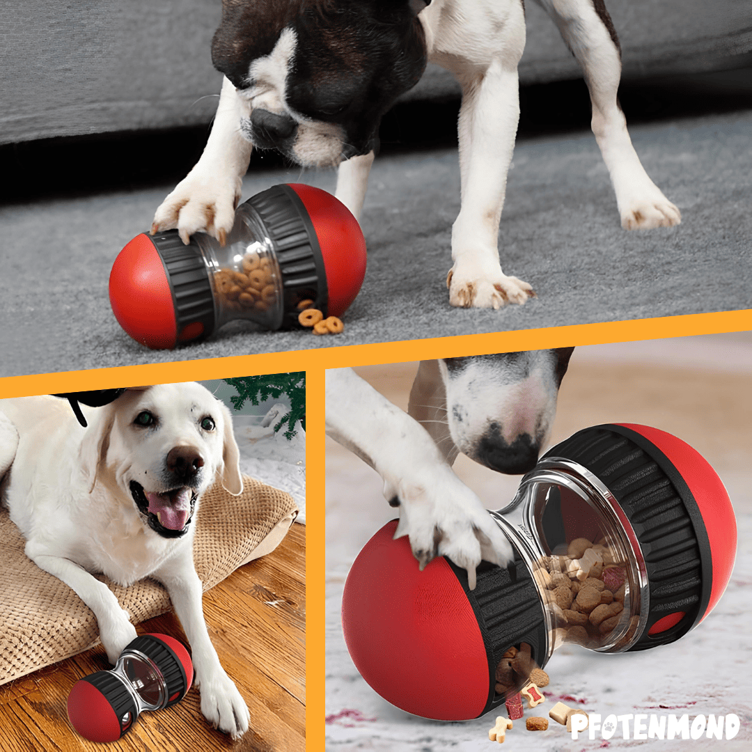 SnackFreund – Der spielerische Snackspender für Hunde