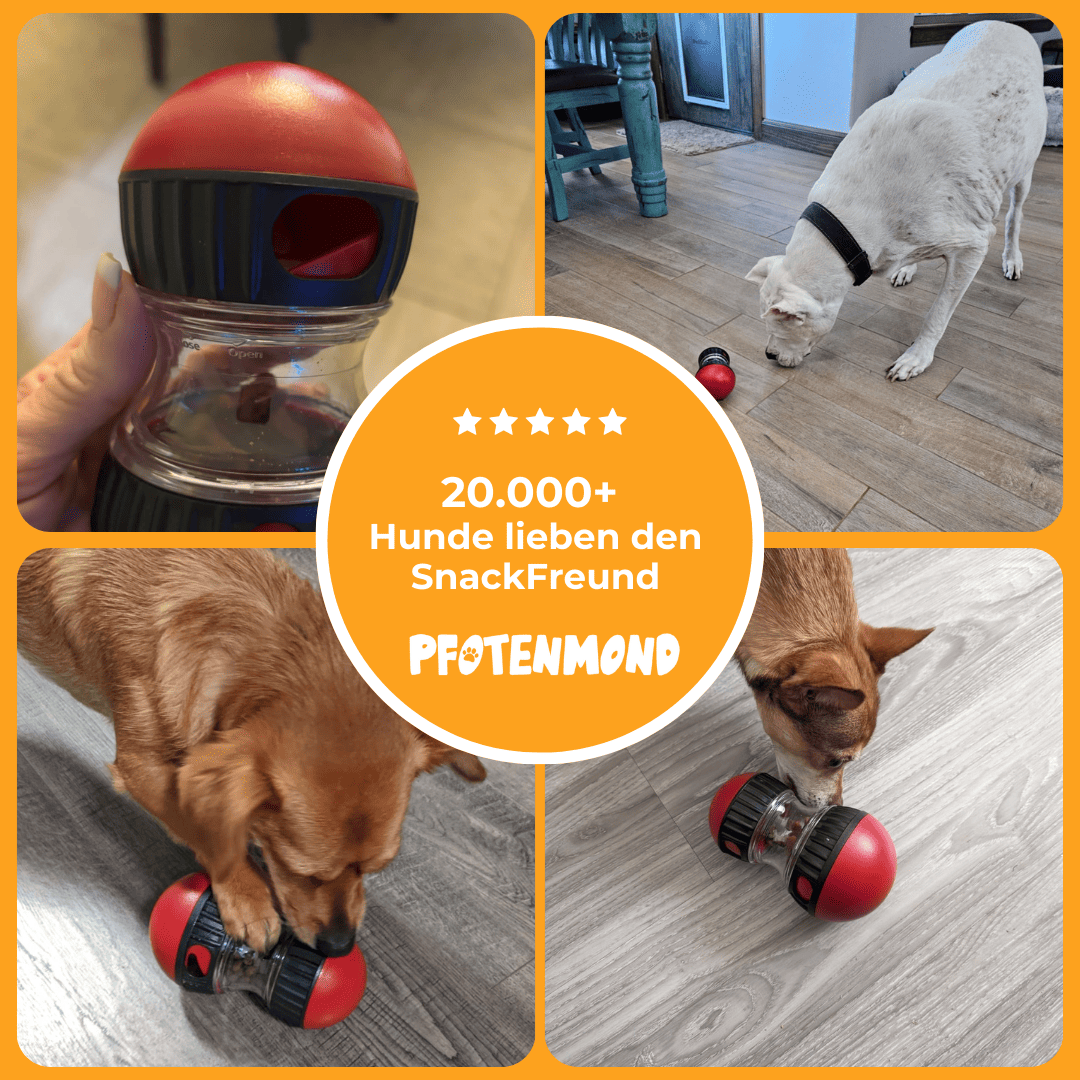 SnackFreund – Der spielerische Snackspender für Hunde