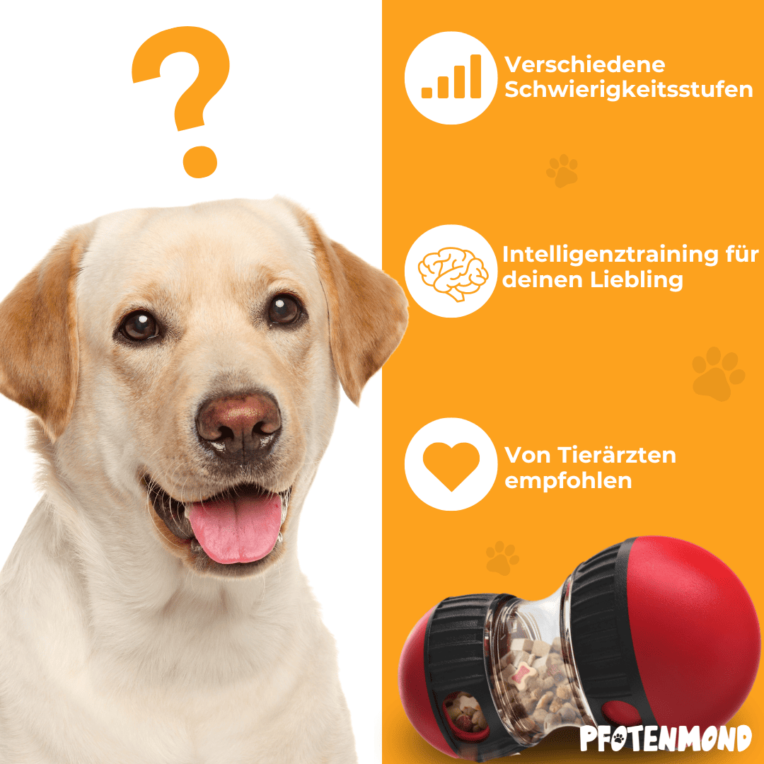 SnackFreund – Der spielerische Snackspender für Hunde