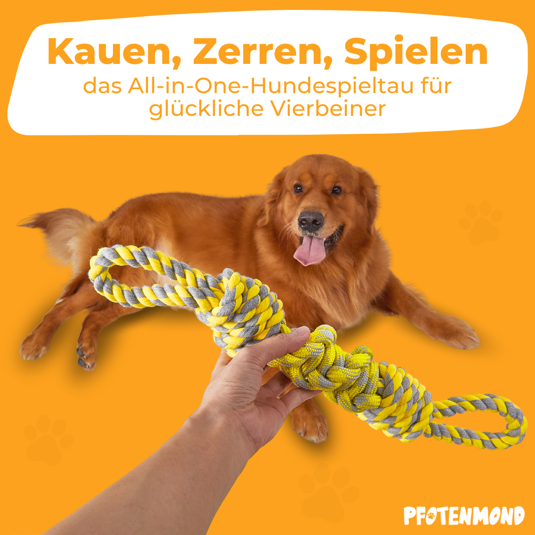 Hundespieltau