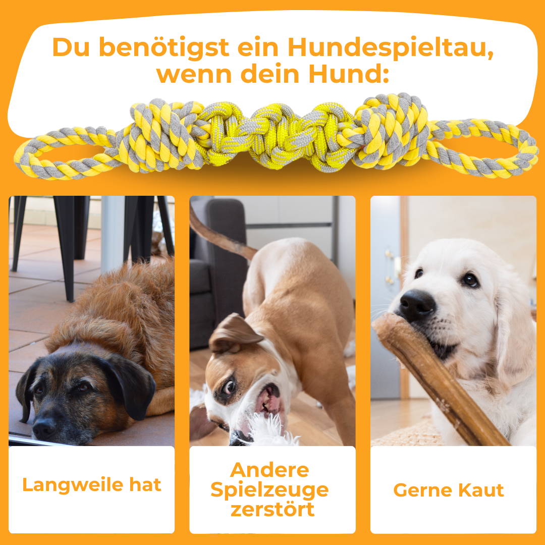 Hundespieltau