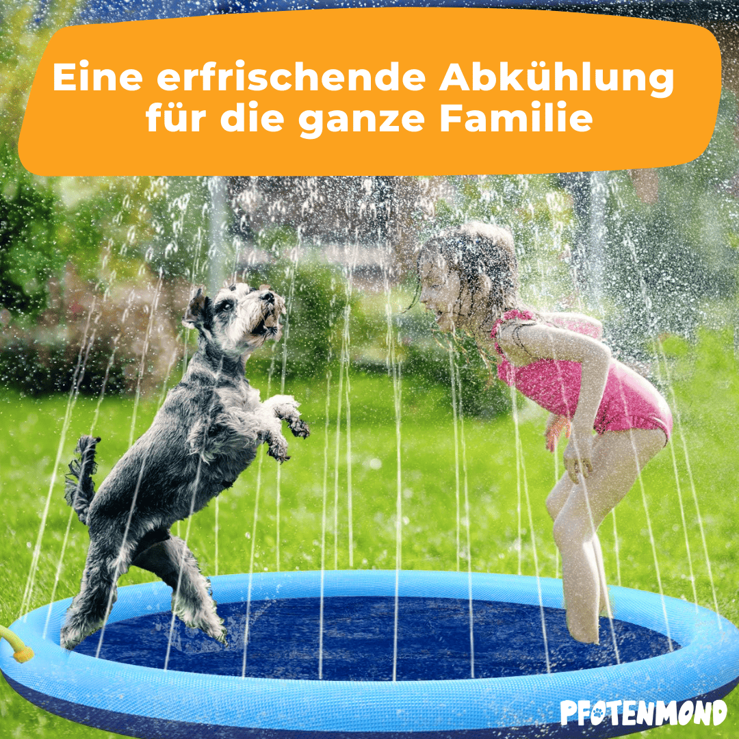 PfotenSplash - Der Bestseller