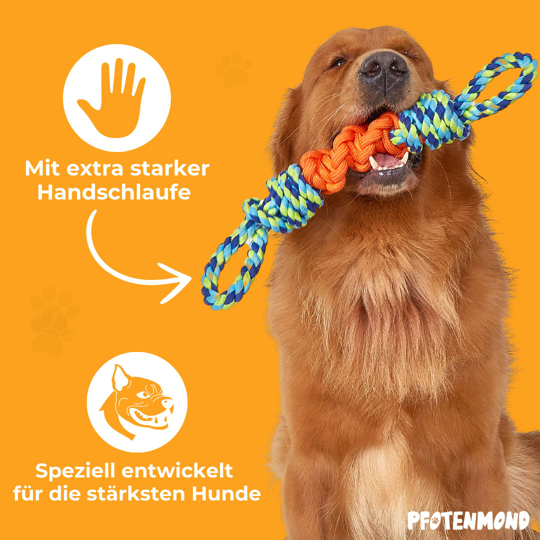Hundespieltau