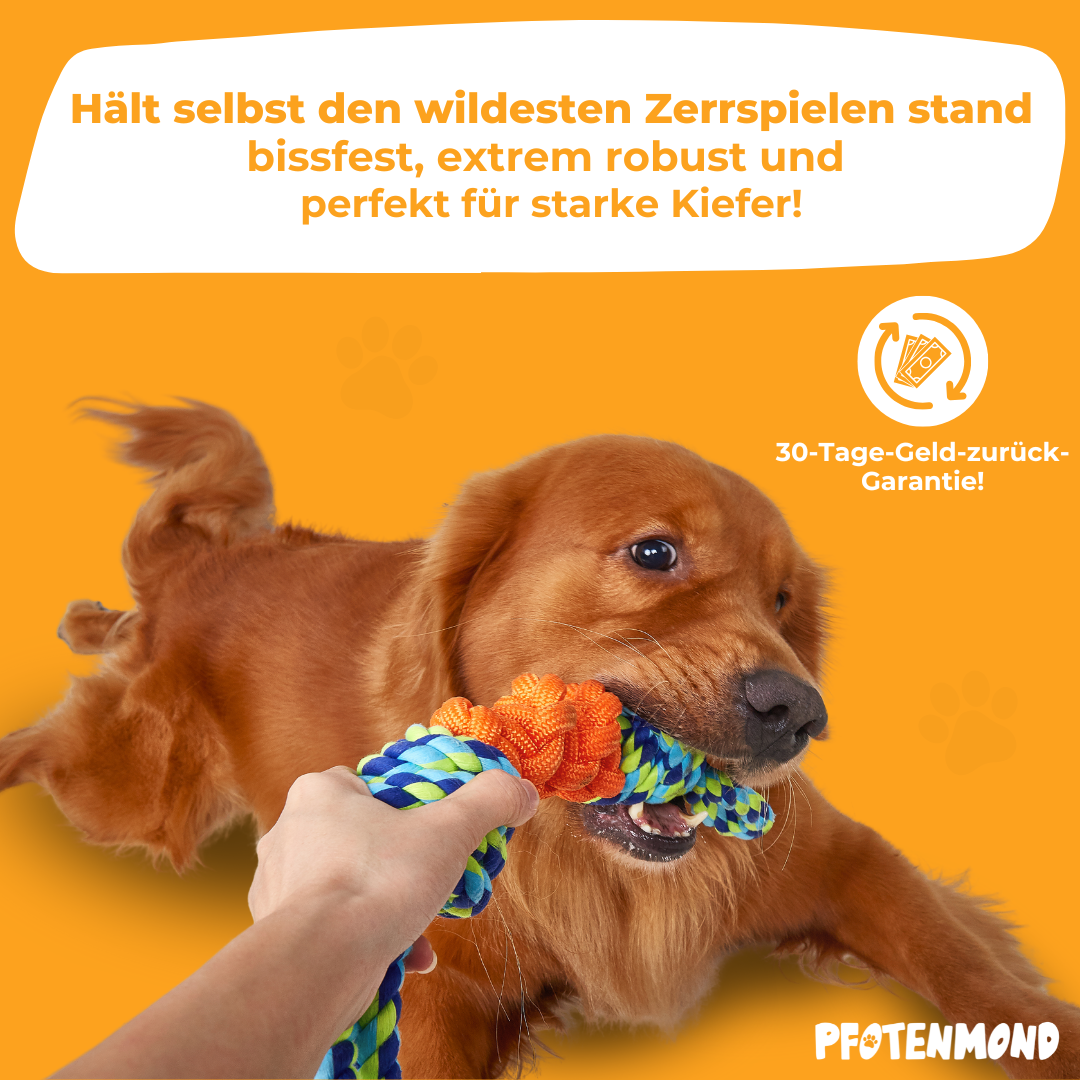 Hundespieltau