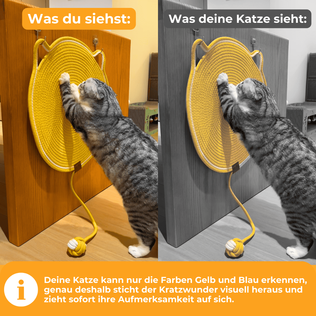 Kratzwunder