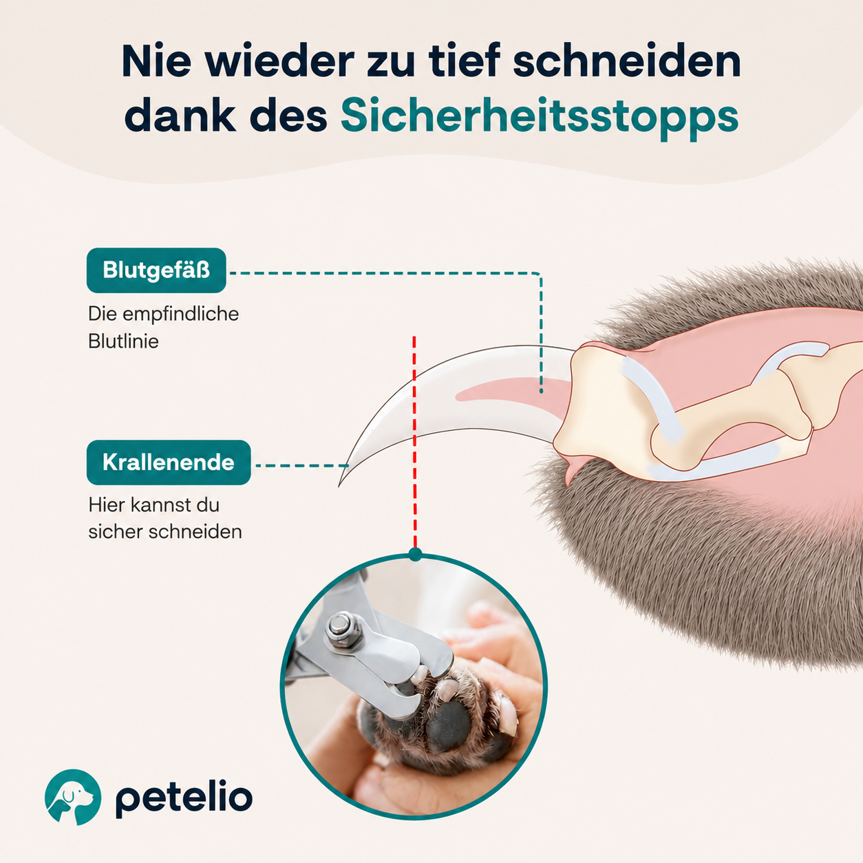 SafeClip™ | Professioneller Krallenschneider mit Sicherheitsstopp