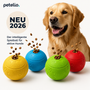 TreatBall™ | Leckerlis verdienen macht schlauer