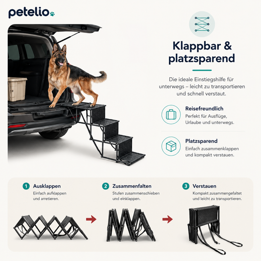 FoldStep™  | Einstieg ins Auto