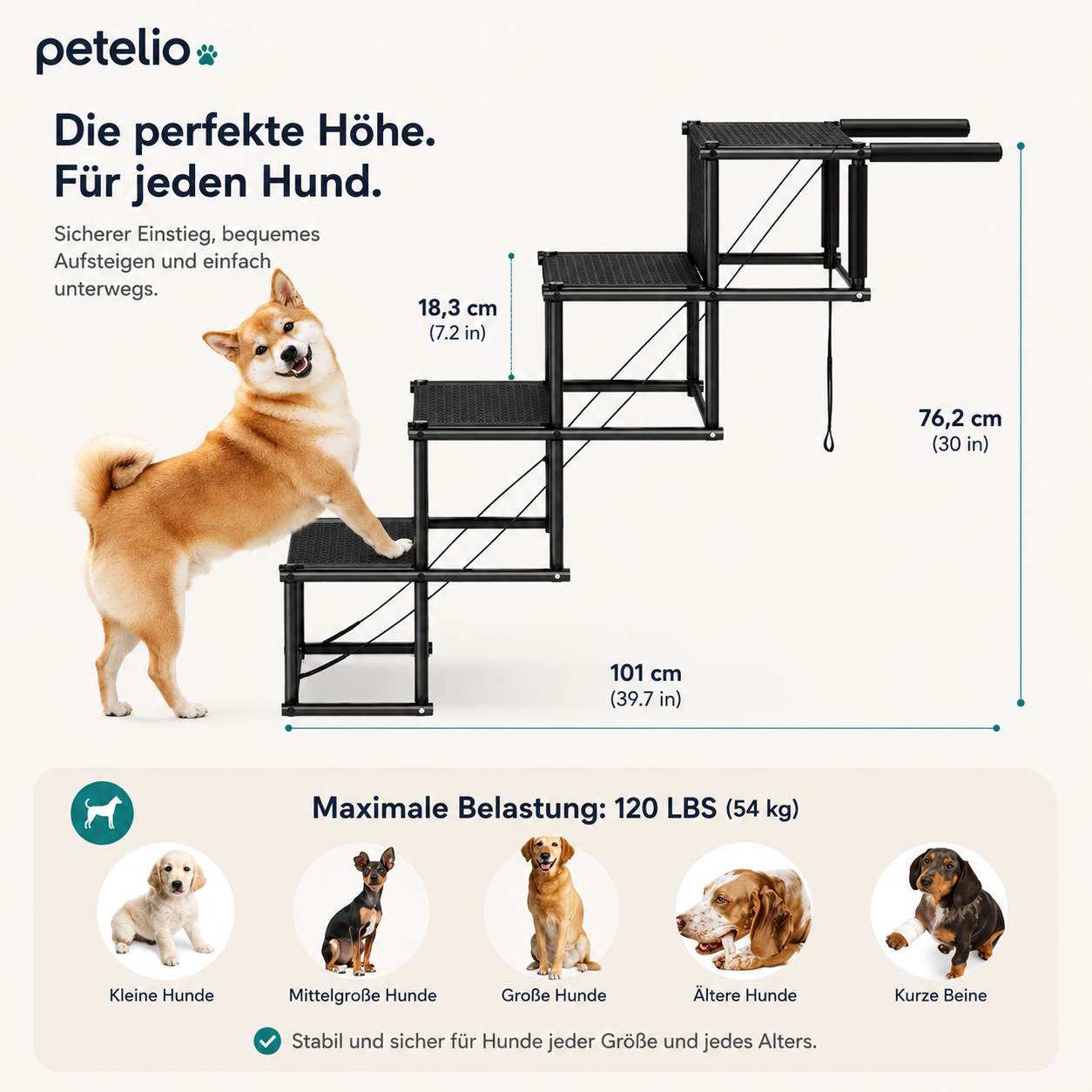 FoldStep™  | Einstieg ins Auto
