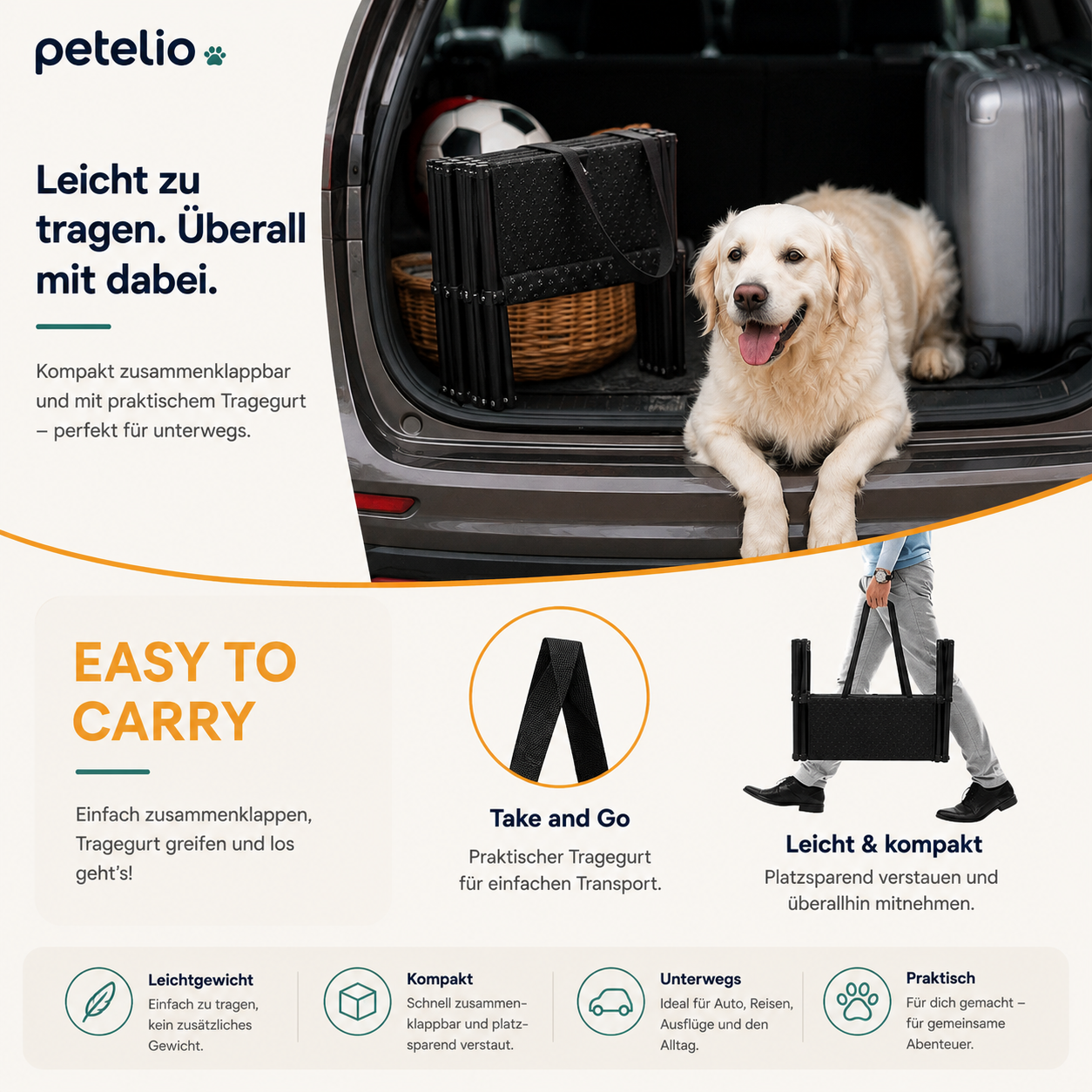 FoldStep™  | Einstieg ins Auto