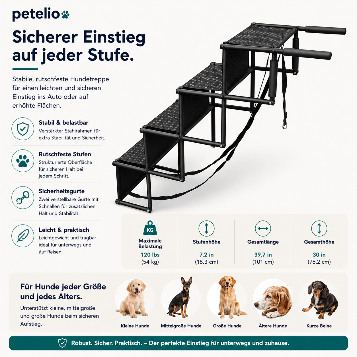 FoldStep™  | Einstieg ins Auto