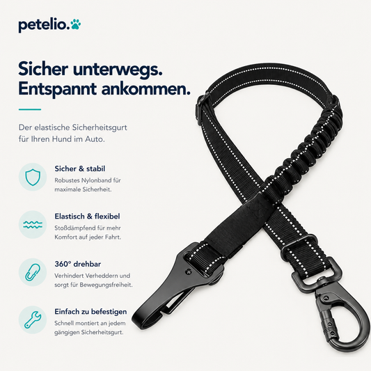 SafeRide™ | Sicherheitsgurt mit BungeeDämpferSaf