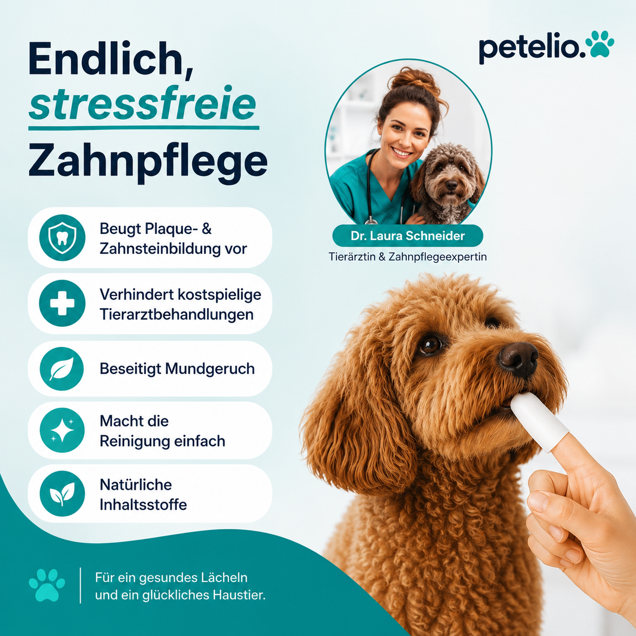 DentaWipe™ | Saubere Zähne ohne Kampf