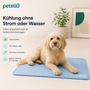 ChillPaws™ | Kühlung ohne Strom oder Wasser