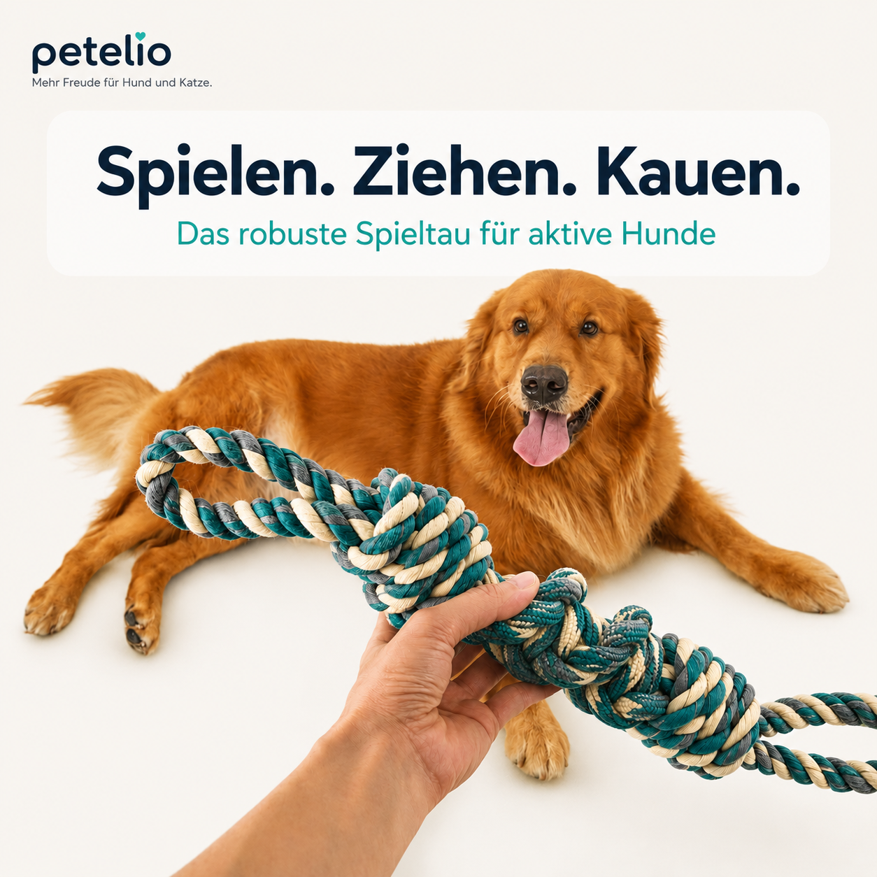 TugRope™ | Für aktive Hunde die gerne zerren