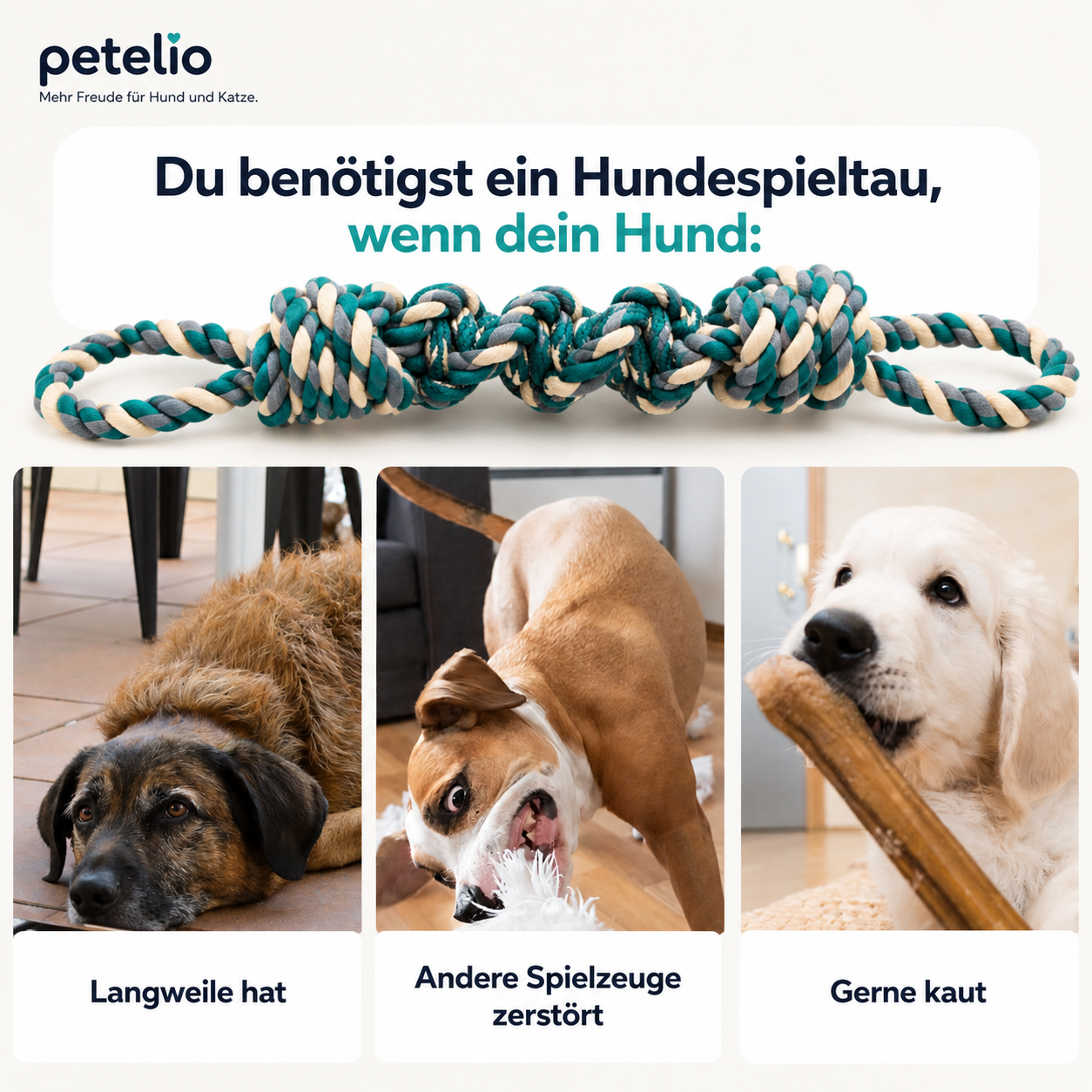 TugRope™ | Für aktive Hunde die gerne zerren