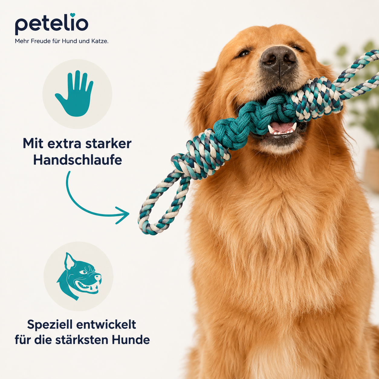 TugRope™ | Für aktive Hunde die gerne zerren
