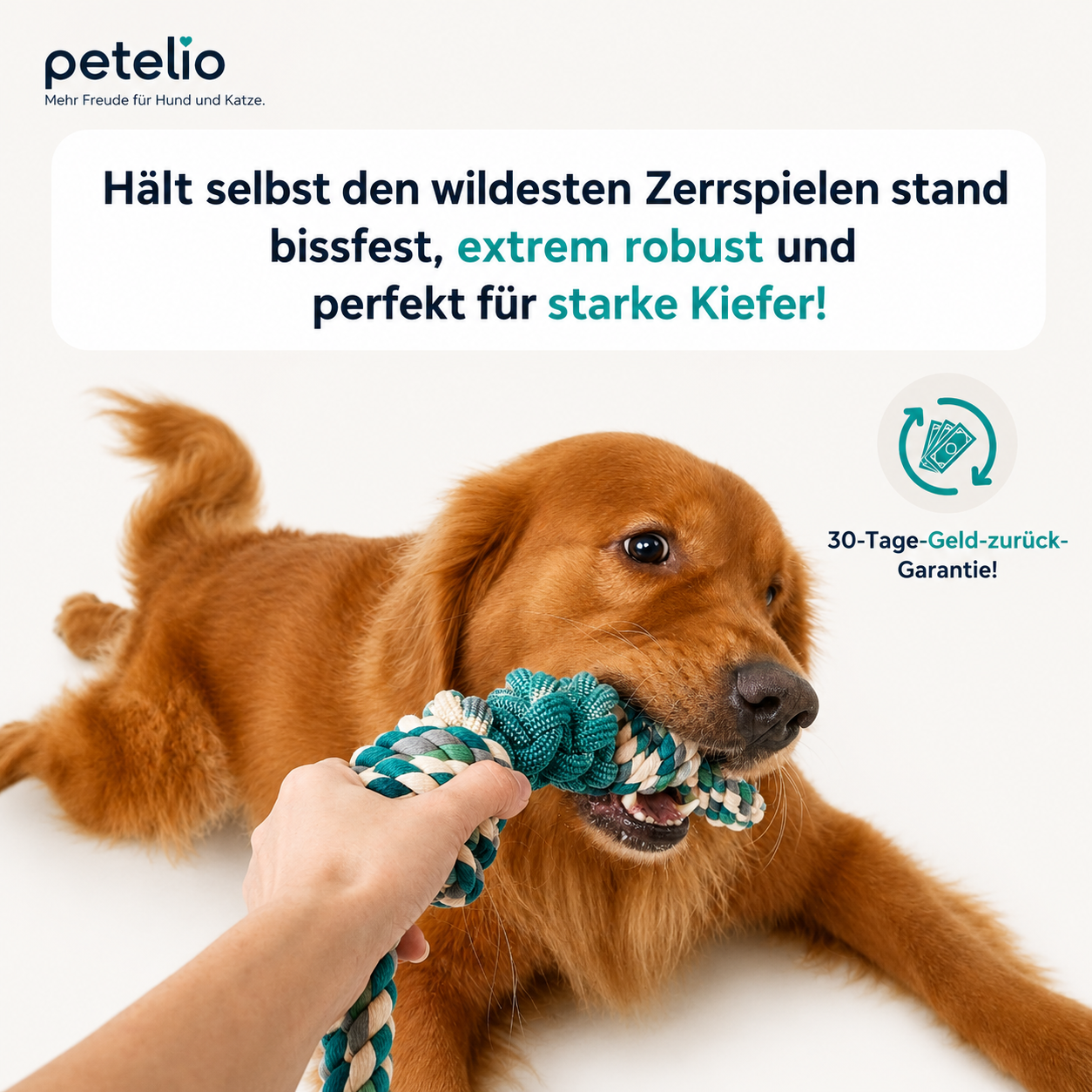 TugRope™ | Für aktive Hunde die gerne zerren