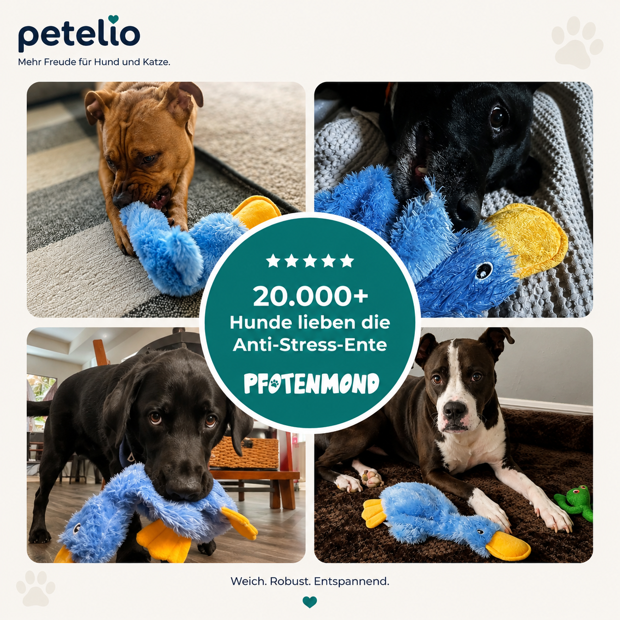 CalmDuck™ | Innere Ruhe für deinen Hund