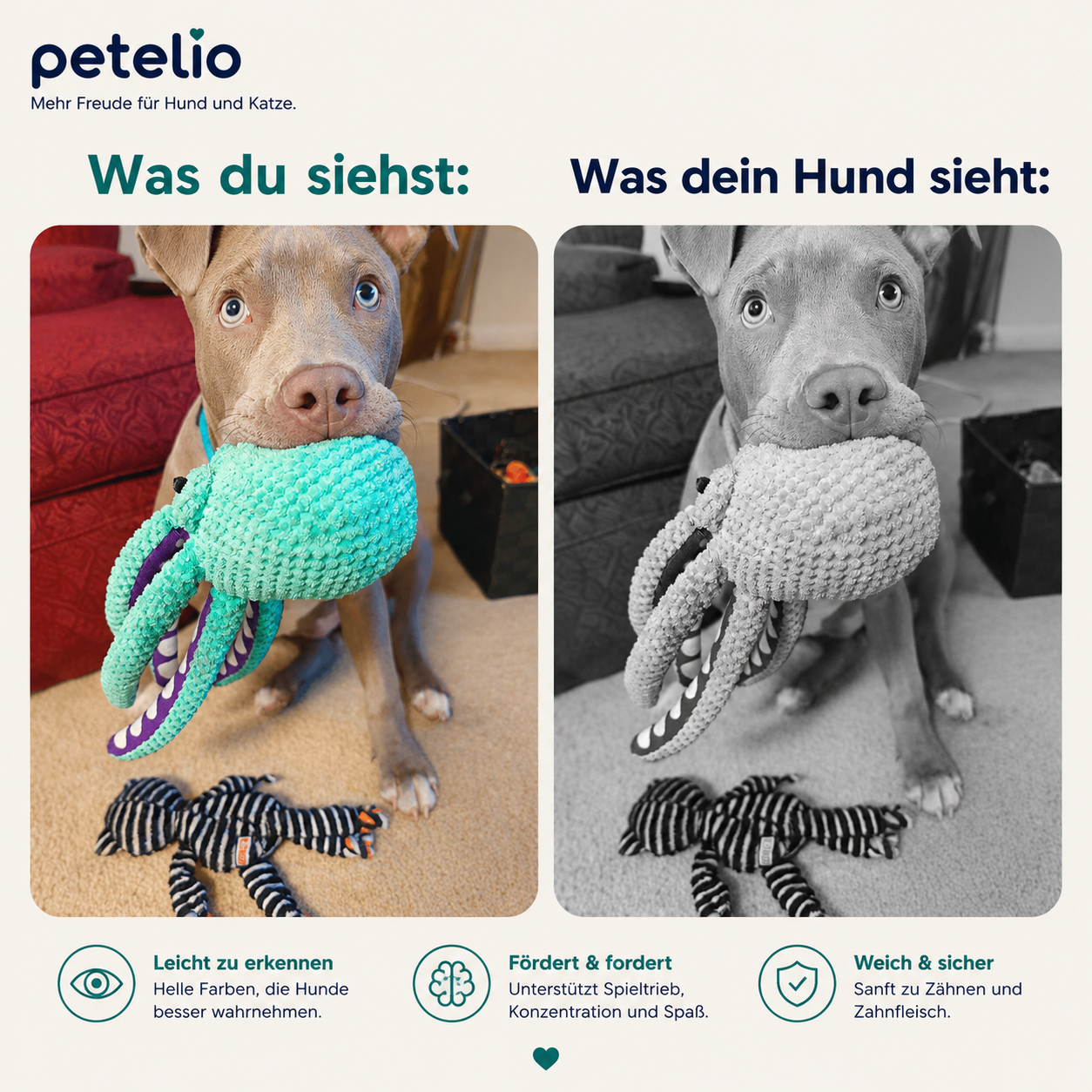 CalmOcto™ | Spielen und entspannen in einem