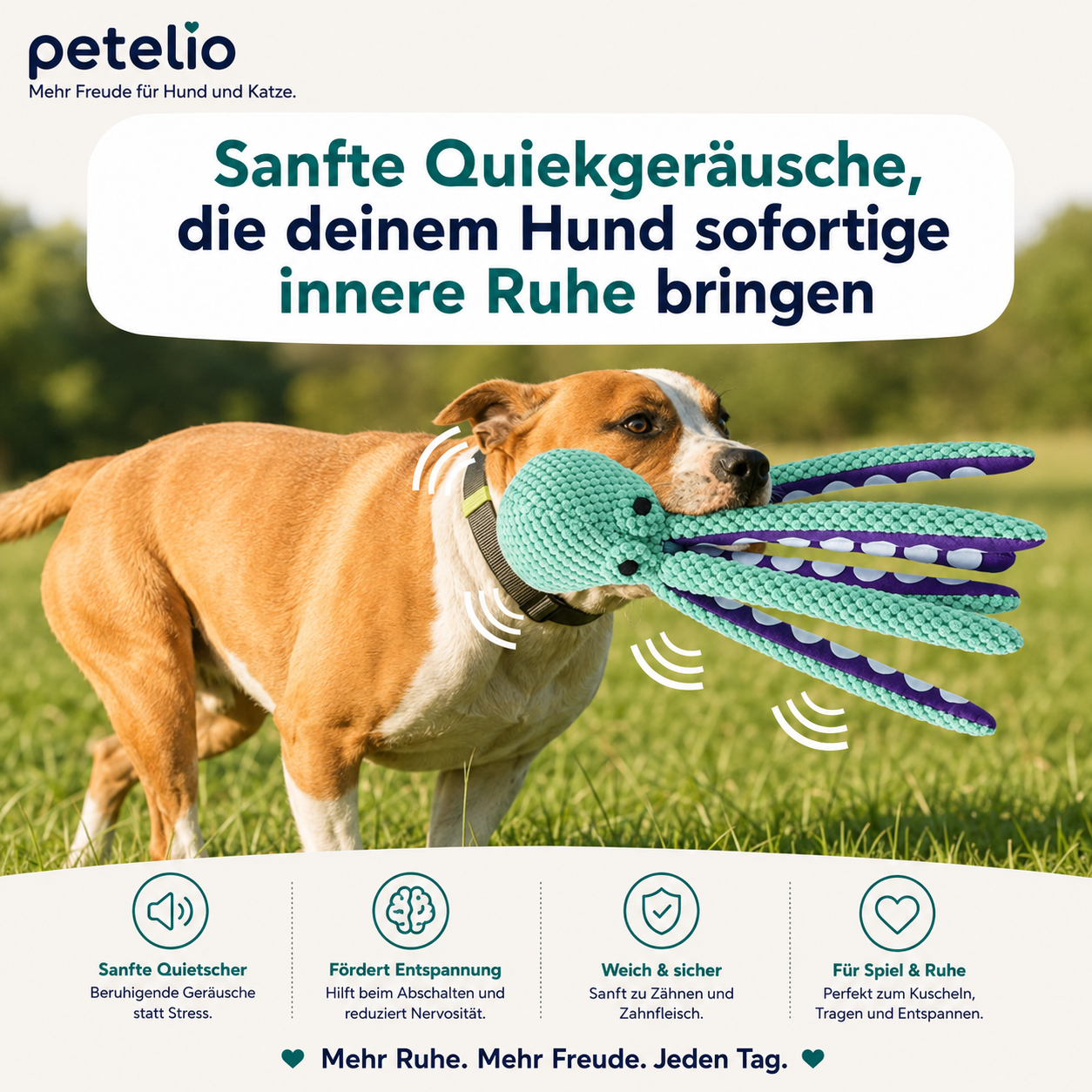 CalmOcto™ | Spielen und entspannen in einem