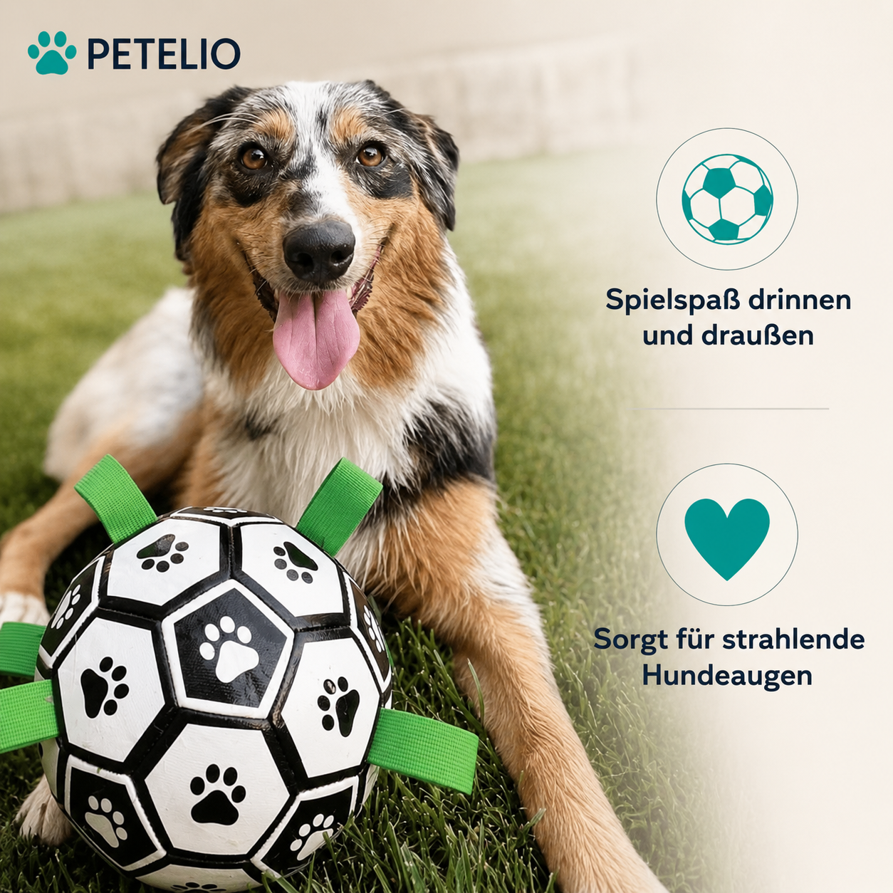 KickBall™ | Endloser Spielspaß drinnen und draußen