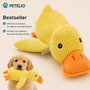 CalmDuck™ | Innere Ruhe für deinen Hund