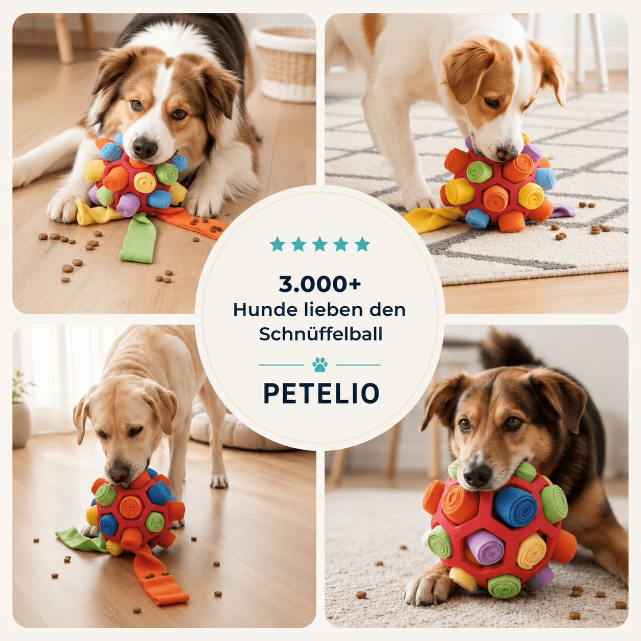 SniffBall™ | Nase einsetzen, Leckerlis finden