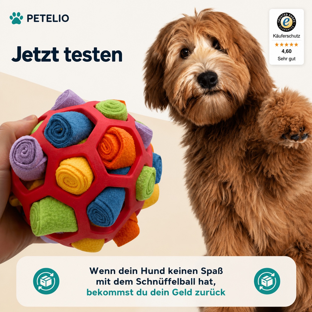 SniffBall™ | Nase einsetzen, Leckerlis finden