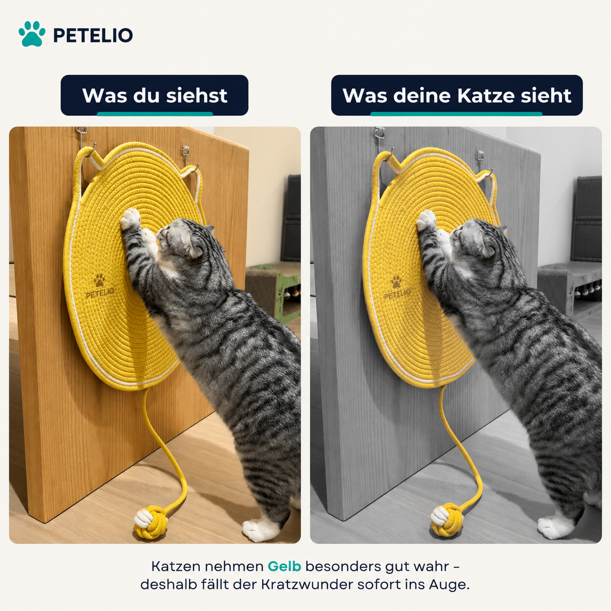 Kratzwunder™ | Möbel schützen, Katzen begeistern