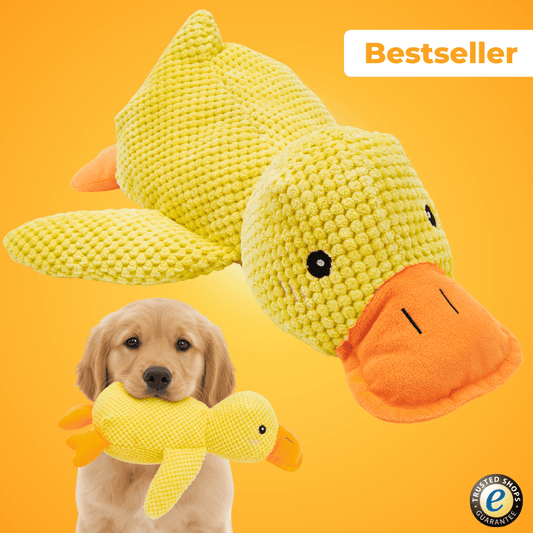Anti-Stress-Ente - Der Bestseller