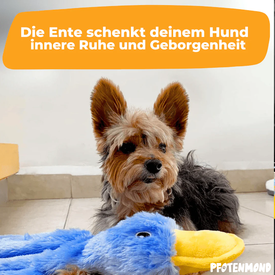 Anti-Stress-Ente - In Blau
